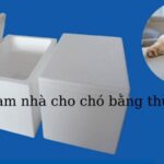 cách làm nhà cho chó bằng thùng xốp