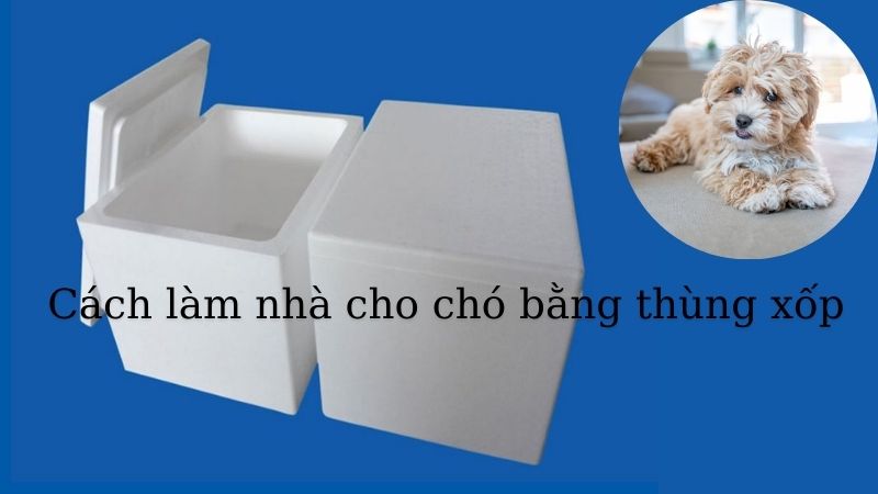 Hướng dẫn cách làm nhà cho chó bằng thùng xốp đơn giản