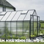 cách làm nhà kính trồng rau sạch