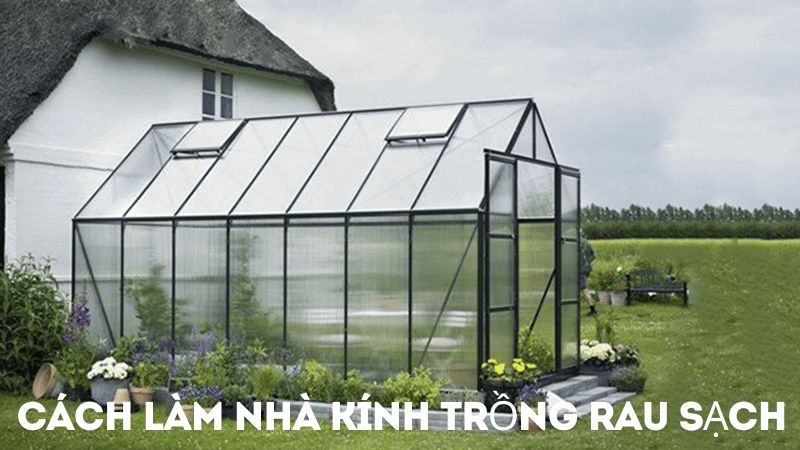 Hướng dẫn chi tiết cách làm nhà kính trồng rau sạch từ A đến Z