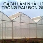 cách làm nhà lưới trồng rau đơn giản