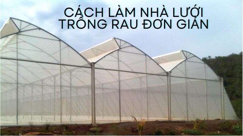 Cách làm nhà lưới trồng rau đơn giản mang lại hiểu quả cao